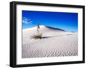 USA, New Mexico, White Sands National Monument, Sand Dune Patterns and Yucca Plants-Terry Eggers-Framed Premium Photographic Print