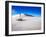 USA, New Mexico, White Sands National Monument, Sand Dune Patterns and Yucca Plants-Terry Eggers-Framed Premium Photographic Print