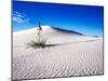 USA, New Mexico, White Sands National Monument, Sand Dune Patterns and Yucca Plants-Terry Eggers-Mounted Premium Photographic Print