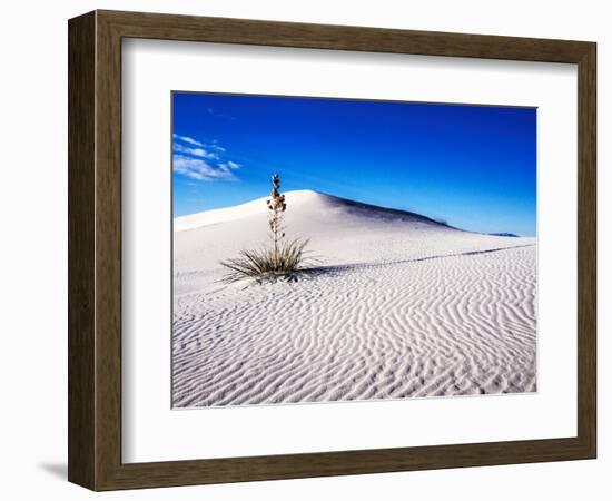 USA, New Mexico, White Sands National Monument, Sand Dune Patterns and Yucca Plants-Terry Eggers-Framed Photographic Print