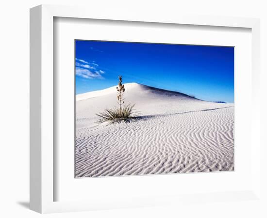 USA, New Mexico, White Sands National Monument, Sand Dune Patterns and Yucca Plants-Terry Eggers-Framed Photographic Print