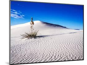 USA, New Mexico, White Sands National Monument, Sand Dune Patterns and Yucca Plants-Terry Eggers-Mounted Photographic Print