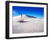 USA, New Mexico, White Sands National Monument, Sand Dune Patterns and Yucca Plants-Terry Eggers-Framed Photographic Print