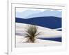 USA, New Mexico, White Sands National Monument, Sand Dune Patterns and Yucca Plants-Terry Eggers-Framed Photographic Print