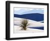 USA, New Mexico, White Sands National Monument, Sand Dune Patterns and Yucca Plants-Terry Eggers-Framed Photographic Print