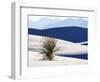 USA, New Mexico, White Sands National Monument, Sand Dune Patterns and Yucca Plants-Terry Eggers-Framed Photographic Print