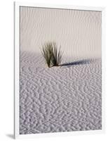 USA, New Mexico, White Sands National Monument, Sand Dune Patterns and Yucca Plants-Terry Eggers-Framed Photographic Print