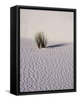 USA, New Mexico, White Sands National Monument, Sand Dune Patterns and Yucca Plants-Terry Eggers-Framed Stretched Canvas
