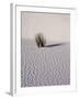 USA, New Mexico, White Sands National Monument, Sand Dune Patterns and Yucca Plants-Terry Eggers-Framed Photographic Print