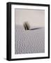 USA, New Mexico, White Sands National Monument, Sand Dune Patterns and Yucca Plants-Terry Eggers-Framed Photographic Print