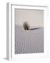 USA, New Mexico, White Sands National Monument, Sand Dune Patterns and Yucca Plants-Terry Eggers-Framed Photographic Print