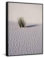 USA, New Mexico, White Sands National Monument, Sand Dune Patterns and Yucca Plants-Terry Eggers-Framed Stretched Canvas