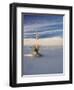 USA, New Mexico, White Sands National Monument, Sand Dune Patterns and Yucca Plants-Terry Eggers-Framed Premium Photographic Print