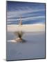 USA, New Mexico, White Sands National Monument, Sand Dune Patterns and Yucca Plants-Terry Eggers-Mounted Premium Photographic Print