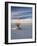 USA, New Mexico, White Sands National Monument, Sand Dune Patterns and Yucca Plants-Terry Eggers-Framed Photographic Print