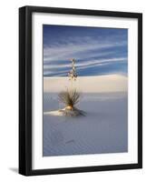 USA, New Mexico, White Sands National Monument, Sand Dune Patterns and Yucca Plants-Terry Eggers-Framed Photographic Print