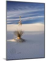 USA, New Mexico, White Sands National Monument, Sand Dune Patterns and Yucca Plants-Terry Eggers-Mounted Photographic Print