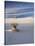 USA, New Mexico, White Sands National Monument, Sand Dune Patterns and Yucca Plants-Terry Eggers-Stretched Canvas