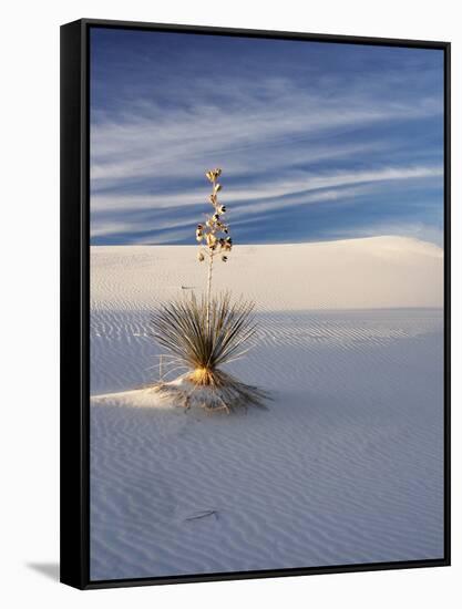 USA, New Mexico, White Sands National Monument, Sand Dune Patterns and Yucca Plants-Terry Eggers-Framed Stretched Canvas