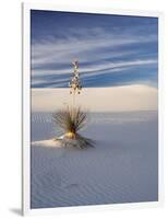 USA, New Mexico, White Sands National Monument, Sand Dune Patterns and Yucca Plants-Terry Eggers-Framed Photographic Print