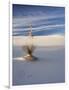 USA, New Mexico, White Sands National Monument, Sand Dune Patterns and Yucca Plants-Terry Eggers-Framed Photographic Print