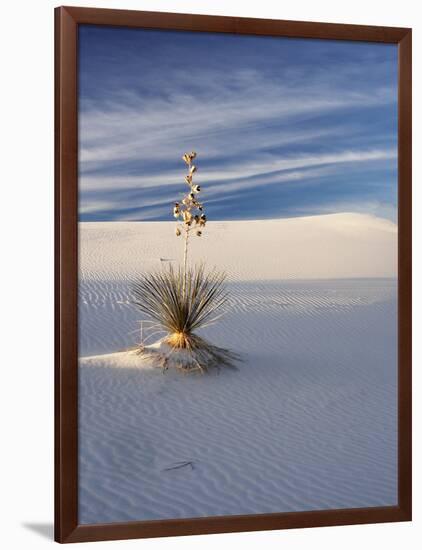 USA, New Mexico, White Sands National Monument, Sand Dune Patterns and Yucca Plants-Terry Eggers-Framed Photographic Print