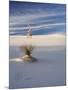 USA, New Mexico, White Sands National Monument, Sand Dune Patterns and Yucca Plants-Terry Eggers-Mounted Photographic Print