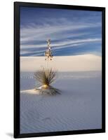 USA, New Mexico, White Sands National Monument, Sand Dune Patterns and Yucca Plants-Terry Eggers-Framed Photographic Print