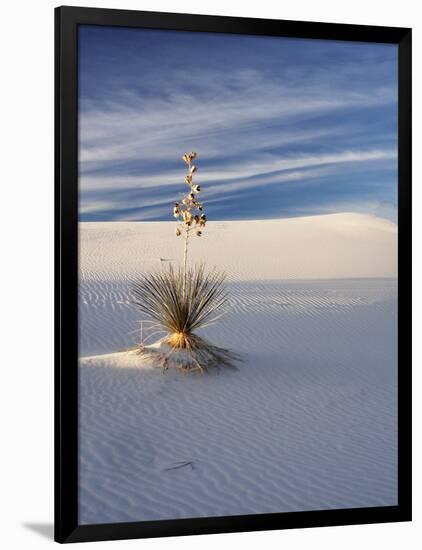 USA, New Mexico, White Sands National Monument, Sand Dune Patterns and Yucca Plants-Terry Eggers-Framed Photographic Print