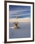 USA, New Mexico, White Sands National Monument, Sand Dune Patterns and Yucca Plants-Terry Eggers-Framed Photographic Print