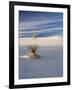 USA, New Mexico, White Sands National Monument, Sand Dune Patterns and Yucca Plants-Terry Eggers-Framed Photographic Print