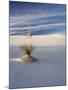 USA, New Mexico, White Sands National Monument, Sand Dune Patterns and Yucca Plants-Terry Eggers-Mounted Photographic Print