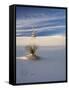 USA, New Mexico, White Sands National Monument, Sand Dune Patterns and Yucca Plants-Terry Eggers-Framed Stretched Canvas