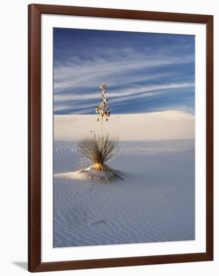 USA, New Mexico, White Sands National Monument, Sand Dune Patterns and Yucca Plants-Terry Eggers-Framed Photographic Print