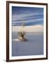 USA, New Mexico, White Sands National Monument, Sand Dune Patterns and Yucca Plants-Terry Eggers-Framed Photographic Print