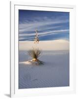 USA, New Mexico, White Sands National Monument, Sand Dune Patterns and Yucca Plants-Terry Eggers-Framed Photographic Print