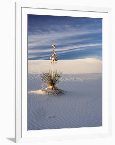 USA, New Mexico, White Sands National Monument, Sand Dune Patterns and Yucca Plants-Terry Eggers-Framed Photographic Print