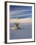 USA, New Mexico, White Sands National Monument, Sand Dune Patterns and Yucca Plants-Terry Eggers-Framed Photographic Print