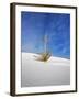 USA, New Mexico, White Sands National Monument, Sand Dune Patterns and Yucca Plants-Terry Eggers-Framed Premium Photographic Print