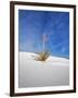 USA, New Mexico, White Sands National Monument, Sand Dune Patterns and Yucca Plants-Terry Eggers-Framed Photographic Print