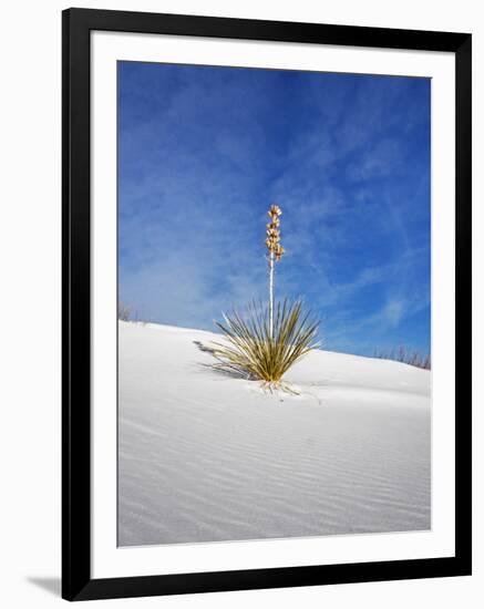 USA, New Mexico, White Sands National Monument, Sand Dune Patterns and Yucca Plants-Terry Eggers-Framed Photographic Print