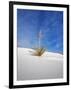 USA, New Mexico, White Sands National Monument, Sand Dune Patterns and Yucca Plants-Terry Eggers-Framed Photographic Print