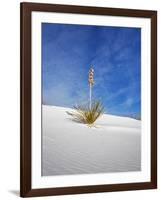 USA, New Mexico, White Sands National Monument, Sand Dune Patterns and Yucca Plants-Terry Eggers-Framed Photographic Print