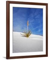 USA, New Mexico, White Sands National Monument, Sand Dune Patterns and Yucca Plants-Terry Eggers-Framed Photographic Print