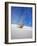 USA, New Mexico, White Sands National Monument, Sand Dune Patterns and Yucca Plants-Terry Eggers-Framed Photographic Print