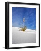 USA, New Mexico, White Sands National Monument, Sand Dune Patterns and Yucca Plants-Terry Eggers-Framed Photographic Print