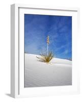 USA, New Mexico, White Sands National Monument, Sand Dune Patterns and Yucca Plants-Terry Eggers-Framed Photographic Print