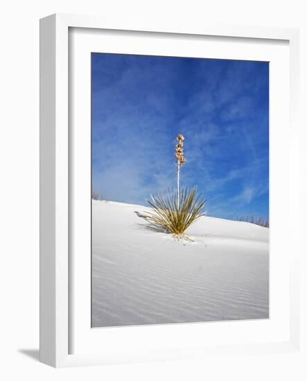 USA, New Mexico, White Sands National Monument, Sand Dune Patterns and Yucca Plants-Terry Eggers-Framed Photographic Print