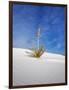 USA, New Mexico, White Sands National Monument, Sand Dune Patterns and Yucca Plants-Terry Eggers-Framed Photographic Print