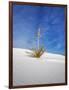 USA, New Mexico, White Sands National Monument, Sand Dune Patterns and Yucca Plants-Terry Eggers-Framed Photographic Print